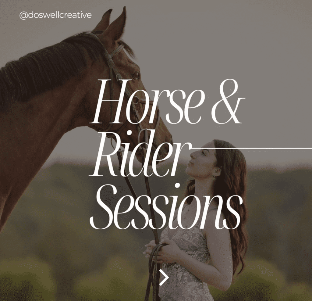 Horse and Rider Sessions